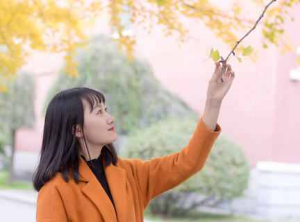 主题背景怎么设置